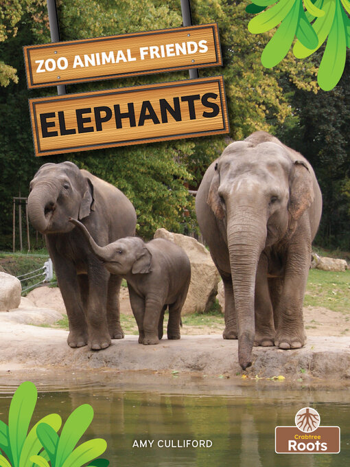 Cover image for Elephants